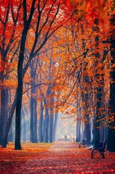 
                    
                        Autumn colors
                    
                