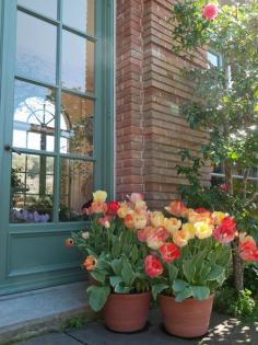 
                    
                        One of my favorite places on earth! Filoli Gardens in Woodside, especially in the spring when the tulips are blooming.
                    
                