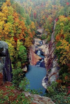 
                    
                        Autumn in Tallulah Gorge, Georgia, United States
                    
                