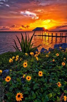 
                    
                        Sunset over Hutchinson Island
                    
                