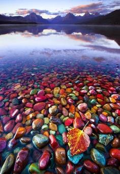 
                    
                        Pebble Shore Lake in Glacier National Park, Montana
                    
                