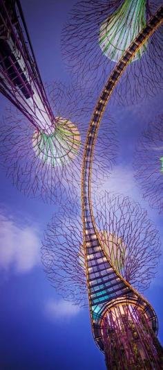 Supertrees, Singapore. #CFluker #CruiseOne #WhyWait Call Contrenia for all of your travel needs. 1-866-680-3211