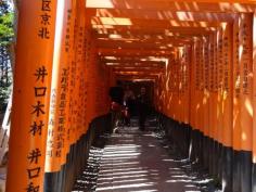 
                    
                        Fushima Inari:  Torii gates that go up the mountain.  You walk through a tunnel of them all the way up.  It is absolutely gorgeous and completely worth seeing.   www.japan-guide.c...
                    
                