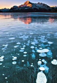 
                    
                        Abraham Lake, Clearwater County, Canada
                    
                