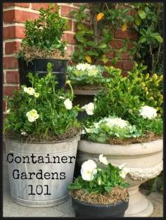 
                    
                        Best DIY Projects: Container Garden 101 Sharing all I know about container gardening and giving a palette for Spring!
                    
                