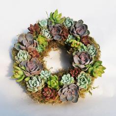 
                    
                        Variety Flourishing Mixed Succulent Wreath | dotandbo.com
                    
                