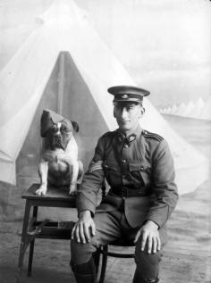 Staff Sergeant Major Morgan and dog, 1915 | Flickr - Photo Sharing!