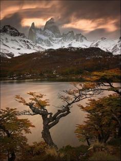 
                    
                        Laguna Capri, Los Glaciares National Park, Argentina | Fitzroy towers over Laguna Capri and the golden Lenga forest.
                    
                