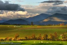 Yarra Valley, Australia - late afternoon HDR - Canon Digital Photography Forums