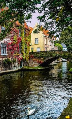 
                    
                        Scenic canal in Bruges, Belgium • photo: SdosRemedios on Flickr
                    
                