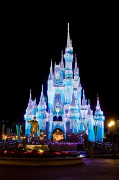 
                    
                        The Ultimate Guide to Christmas at Walt #Disney World! www.disneytourist...
                    
                