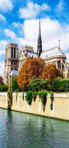 
                    
                        Notre Dame de Paris ~ France
                    
                