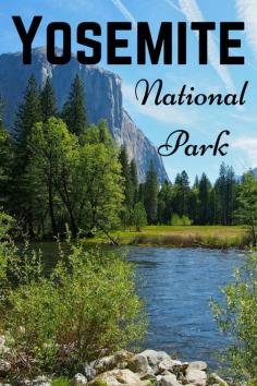 
                    
                        Tips for visiting Yosemite National Park in just one day
                    
                