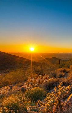
                    
                        Sonoran Desert in Arizona,USA
                    
                