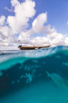 
                    
                        atroy9: “Klein Bonaire boat ”
                    
                