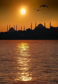 
                    
                        Istanbul, Turkey
                    
                