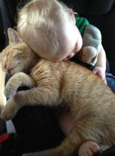 
                    
                        ginger cat and baby..
                    
                