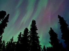 
                    
                        5 Places to See the Northern Lights in the USA
                    
                