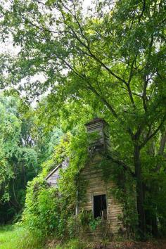 
                    
                        Old Grand Gulf Church, Port Gibson, Mississippi
                    
                