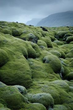 
                    
                        lava fields covered with moss in Vestur-Skaftafellssysla, Iceland
                    
                