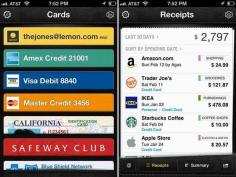 
                    
                        Download the free Lemon Wallet app to safely store all your credit card information. | 25 Things You Should Know Before Studying Abroad
                    
                