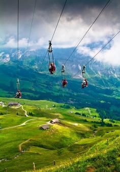 
                    
                        Incredible Travel Experiences: Zip Lining in Grindelwald, Switzerland
                    
                