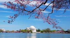 
                    
                        20 Fabulously Free Things to Do in D.C.!
                    
                
