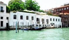 
                    
                        The Peggy Guggenheim Collection
                    
                