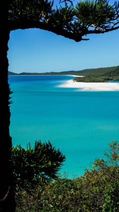 
                    
                        The idyllic Whitsunday Islands in Australia. 74 islands surrounded by the Great Barrier Reef.
                    
                