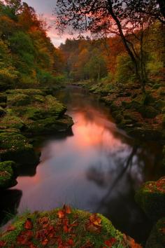 
                    
                        The Strid, Bolton Abbey, Yorkshire Dales, UK ~ wolfy
                    
                