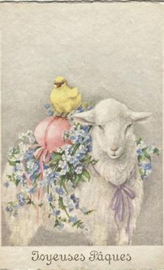 
                    
                        It is Easter when all life, love and hope are reborn. May your day be blessed.
                    
                