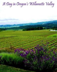 
                    
                        Oregon’s Willamette Valley has a lot of wineries.  But there is more than just wine for travelers.  A guide to Oregon's Willamette Valley including cheese, chocolates, jam, and of course wine. #Oregon #travel
                    
                