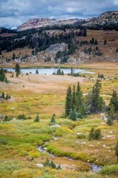 
                    
                        just-breezy:  Along the Beartooth Highway, YellowstoneFred Dunn
                    
                
