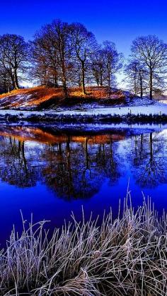 
                    
                        grass_lake_snow_winter
                    
                