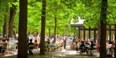 
                    
                        JARDIN DU LUXEMBOURG, PARIS~ Paris is Always a Good Idea, But Especially in the Spring  - TownandCountryMag...
                    
                
