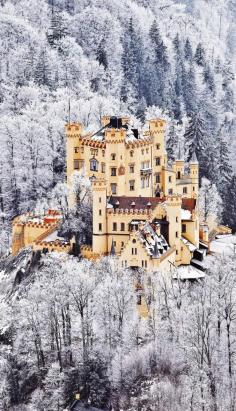 
                    
                        The Scenic Castle of Hohenschwangau in Germany
                    
                