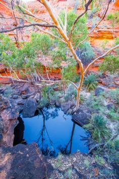 
                    
                        Kings Canyon Rim Walk, Northern Territory, Australia
                    
                