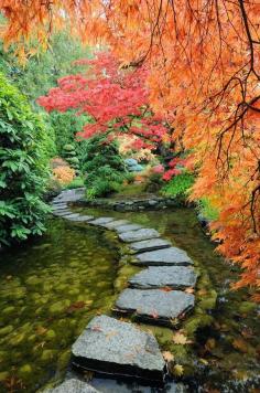 
                    
                        Japanese Garden at Buchart Gardens, Victoria, B.C
                    
                