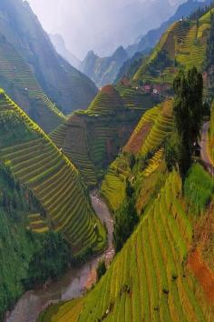 
                    
                        Mu Cang Chai , Vietnam
                    
                