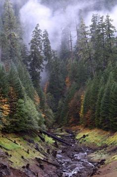 
                    
                        Oregon
                    
                