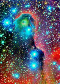 
                    
                        Elephant’s Trunk Nebula...beautiful and amazing!
                    
                