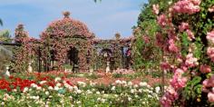
                    
                        L'HAY LES ROSES, ROSE GARDEN, PARIS~Paris is Always a Good Idea, But Especially in the Spring  - TownandCountryMag...
                    
                