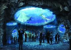 
                    
                        One of the largest aquariums in the world is in Hong Kong. I have wanted to visit this aquarium since watching its construction on a documentary. #JSCathay #Jetsetter Jetsetter.com
                    
                