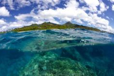 
                    
                        Cook Islands
                    
                
