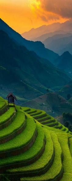 
                    
                        Top 16 Outstanding Places: Sunset of Rice Terrace | 99traveltips
                    
                