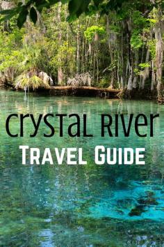 
                    
                        Things to do in Crystal River, Florida
                    
                