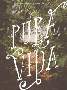 
                    
                        Wise Words \ Pura Vida is a characteristic Costa Rican phrase. It literally means pure life, however, the real meaning is closer to “plenty of life”, “full of life”, “this is living!”, “going great”, or “real living”.
                    
                