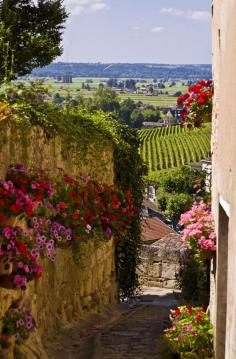 
                    
                        Is this the best way to see Bordeaux? #France
                    
                