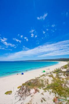 
                    
                        Hamelin Bay, Western Australia
                    
                
