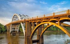 
                    
                        Selma and Dallas County Tourism: Edmund Pettus Bridge - USA Today Nomination
                    
                